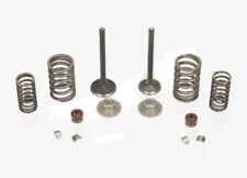 Kit revisione testa usato  Italia