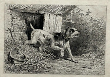 Chien bull terrier d'occasion  Pluvigner