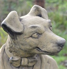 Funny dog terrier for sale  HORSHAM