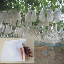Pcs fruit garden for sale  HATFIELD