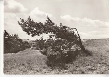 Ddr stsee dändorf gebraucht kaufen  Deutschland