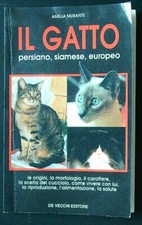 Gatto persiano siamese usato  Italia