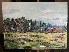 Quadro dipinto olio usato  Villarbasse