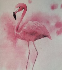 Flamingos custom canvas for sale  Lima