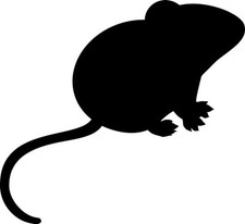 Pack frozen mice for sale  BUNGAY