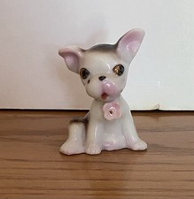 Apple head chihuahua for sale  Abbottstown