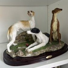 Large greyhound group for sale  BIRMINGHAM