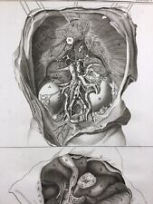 Anatomie gastro entérologie d'occasion  Tuchan