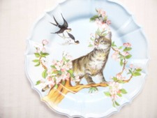 decorative cat plate for sale decorative cat plate for sale Mount Pleasant