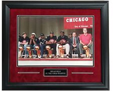 Chicago bulls celebrate for sale  Westmont