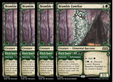 Set bramble familiar usato  Milano