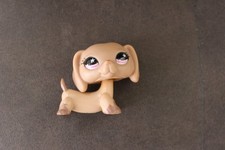 Petshop chien teckel d'occasion  Saint-Etienne
