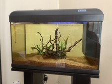 Acquario completo 60l usato  Palermo