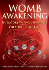Womb awakening initiatory gebraucht kaufen  Einbeck