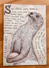 original illustrations for sale original illustrations for sale FAREHAM