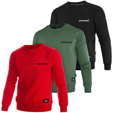 Sweatshirt pretorian pullover gebraucht kaufen  Görlitz-Umland