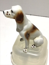 english pointer for sale english pointer for sale HEATHFIELD