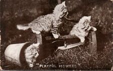 Playful mowers for sale  Pittsfield