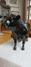 angus bulls for sale angus bulls for sale ELY