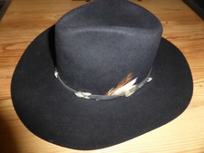 Stetson palomino cowboy gebraucht kaufen  Gelsenkirchen