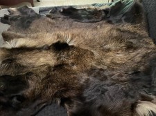 Beautiful taxidermy hide for sale  Winston Salem