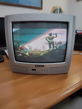 Televisore crt roadstar usato  Follonica
