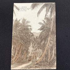Moorea ombrage cocotiers d'occasion  France