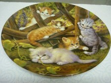 Decorative cat picture for sale  WATERLOOVILLE