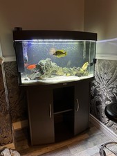Jewel fish tank for sale  MANCHESTER