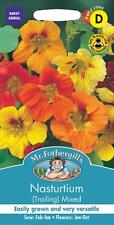 Nasturtium trailing mixed for sale  NEWMARKET