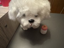 Kinderspielzeug bellender hund gebraucht kaufen Kinderspielzeug bellender hund gebraucht kaufen  Emsbüren