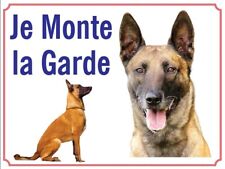 Attention chien monte usato  Spedire a Italy