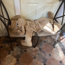 Jumbo nursery laying for sale  White Oak