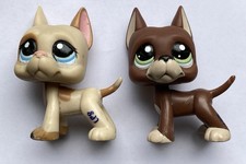 Lot petshop dogue d'occasion  Nègrepelisse