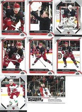 Ice hockey trading for sale  DUMFRIES