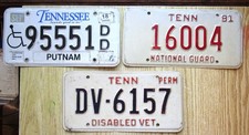 Tennessee 1980 odd for sale  Lake Panasoffkee