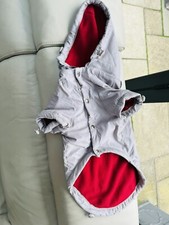 Small dog grey for sale  BEDFORD