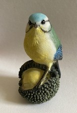 Shudehill blue tit for sale  GLOSSOP
