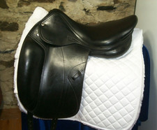 Amerigo pinerolo 17.5. for sale  Springfield