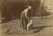 Vintage farm albumen d'occasion  Expédié en Belgium