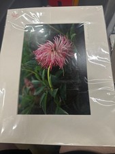 Flower photography signed for sale  Georges Mills