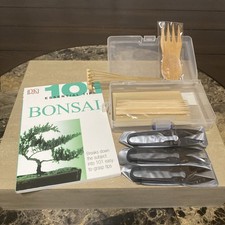 Bonsai beginners care for sale  Amarillo