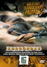 Dangerous animals anaconda for sale  UK
