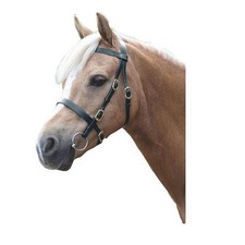 Shires blenheim plain for sale  COALVILLE