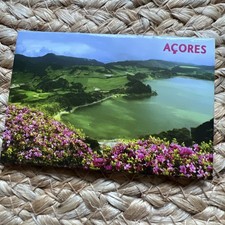 Azores portugal souvenir for sale  BASINGSTOKE