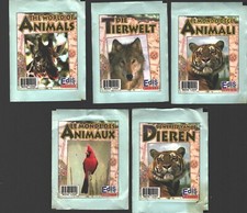 Degli animali lotto usato  Lucera