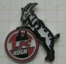 Köln fussball bundesliga gebraucht kaufen  Münster
