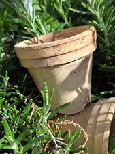 Blumentopf übertopf terrakott gebraucht kaufen  Neustadt/Dosse