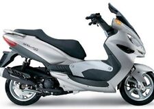 Malaguti madison 125 usato  Assemini
