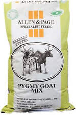 Allen page pygmy for sale  BRENTWOOD